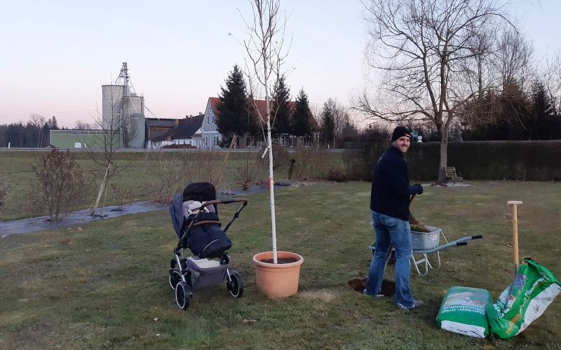 Garten Kiegerl - Pflanzungen