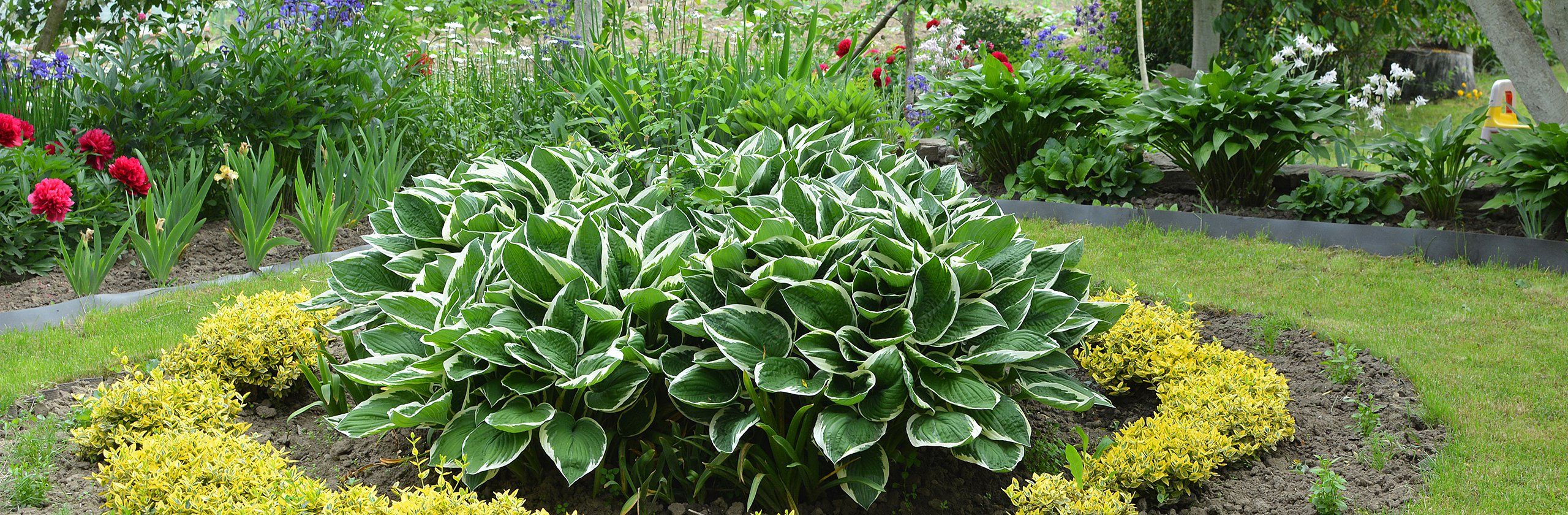 Garten Kiegerl - Unser Betrieb